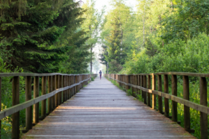 mental health banner